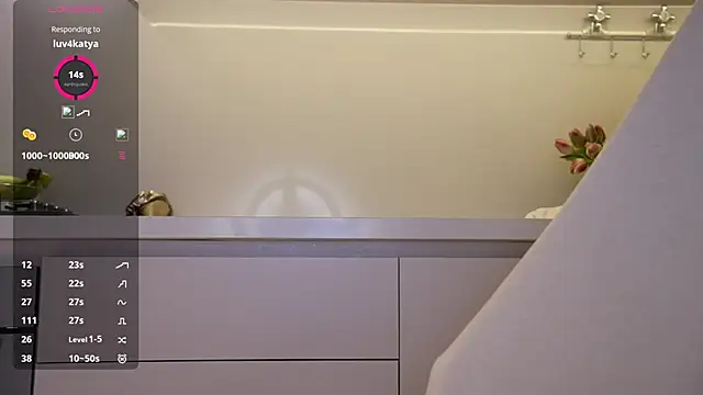 Chatroom XXX en direct de Vassiilisa