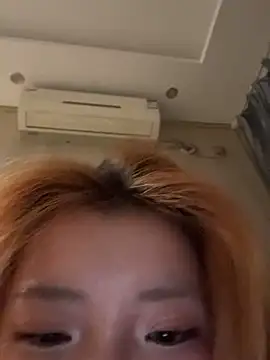 Rabbit-15 网络视讯表演