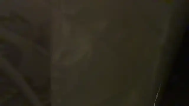 KungFuPanda001: вебкам-шоу