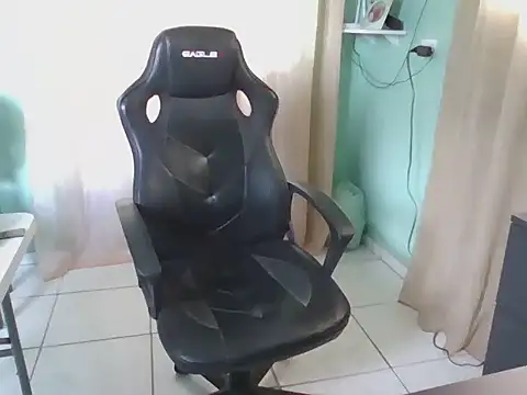 Silvakkfitk Webcam-Show