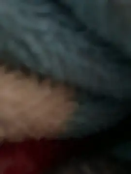 Chat XXX Live yoryy07