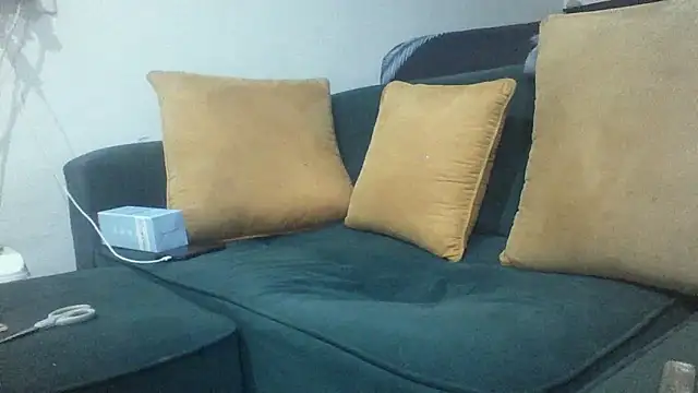 Winterslender Show in webcam