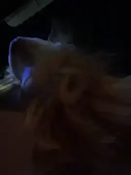 AnastasiaAniess 在線直播表演