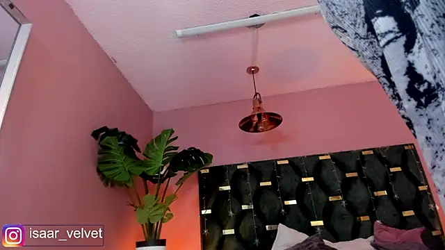 Velvet_Dreamss 现场XXX聊天