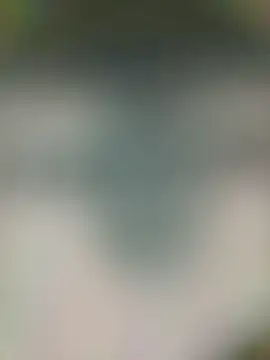 piggylatino Pertunjukan Webcam