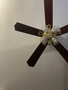 islandvybee55 webkamerás műsora