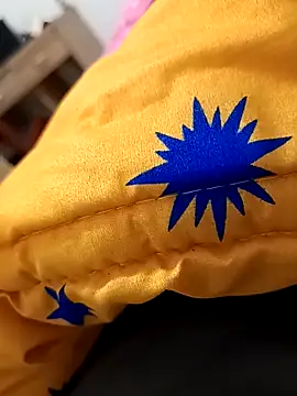 Show webcam de huzi518