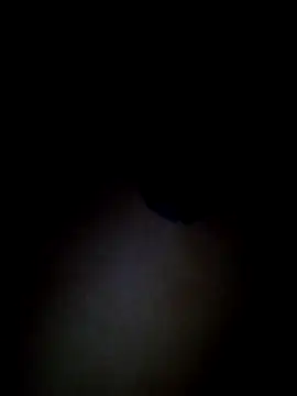 MISTYI1 Show in webcam