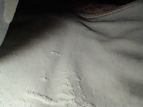 IMAGatMARKのウェブカメラショー