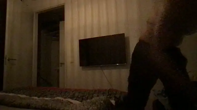 dirtyBent webcam show