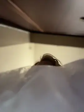 Živý XXX chat AnastasiaAniess