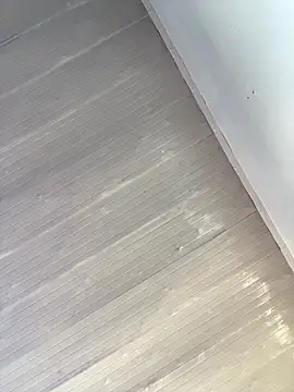 islandvybee55 webcam show