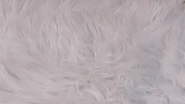 Chatroom XXX en direct de AngelicRice