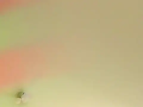 Vicky_Angeel's Live XXX Chat