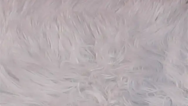 Sembang XXX Secara Langsung AngelicRice