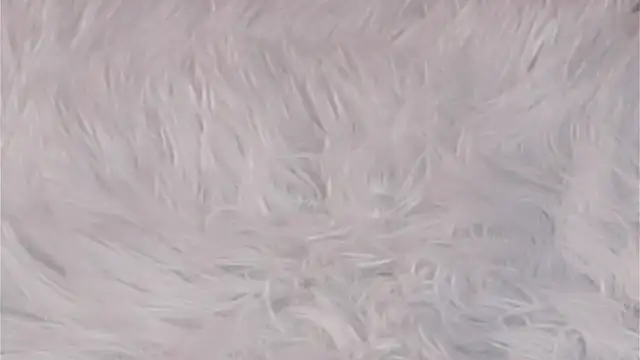 AngelicRice 라이브 XXX 채팅