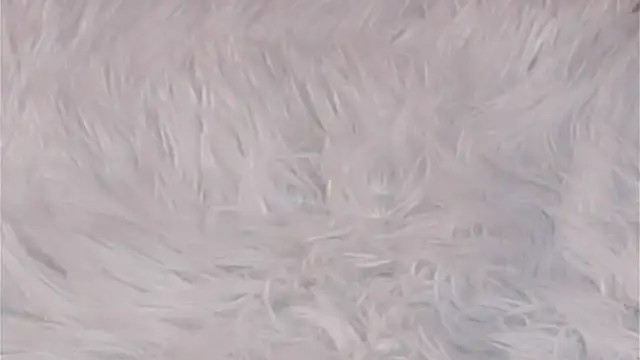 AngelicRice live XXX chat