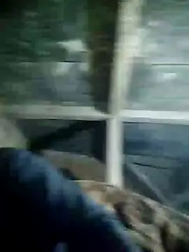 Loomaraj – Naživo XXX chat