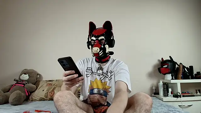 K9_GoodBoy Show Webcam