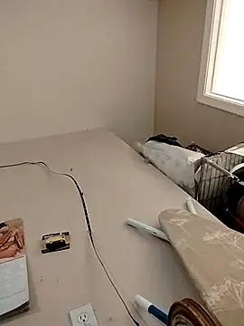 โชว์เว็บแคมของ MicroForecast22