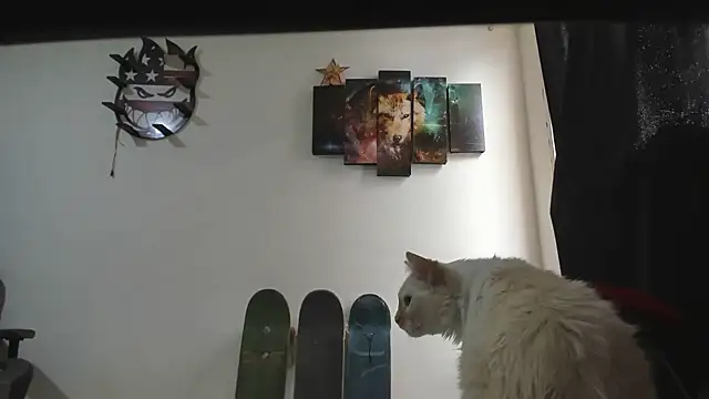 Jeff_Walton@xh Live XXX-Chat