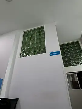 Webkamerová show wassonmono