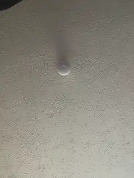 Baby__Otaku's Live XXX Chat