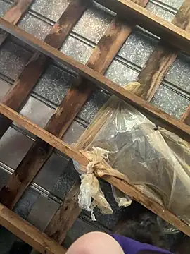 luke42092: вебкам-шоу