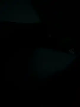 Chat +18 de savageebny ao vivo