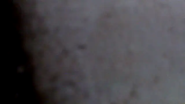 Show de webcam de xcbfg