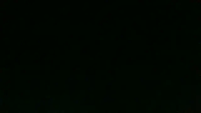 Chichoplus1 Chat XXX live