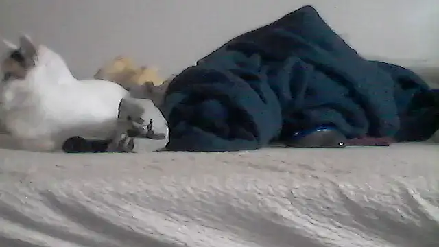 Silencio26's Live XXX Chat