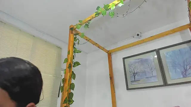 Geminis___のウェブカメラショー