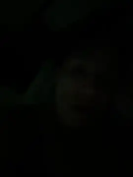 DominicanJojo's Live XXX Chat