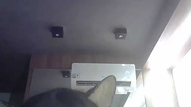 SkinnyKittenのライブXXXチャット