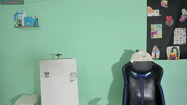 TYLERhHOT2005's Webcam Show