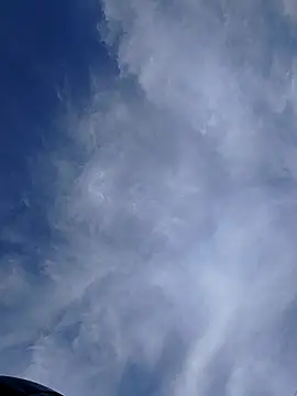 Онлайн чат XXX rejypool