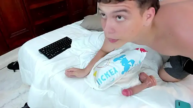 Show webcam de dennis_hills