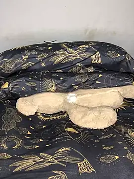 Show webcam de aisha-sajady