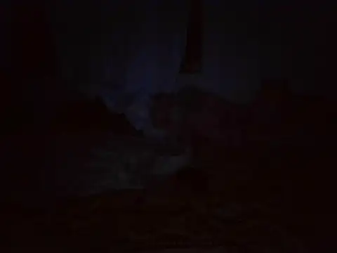 MakeMeCumAhh Live XXX-Chat