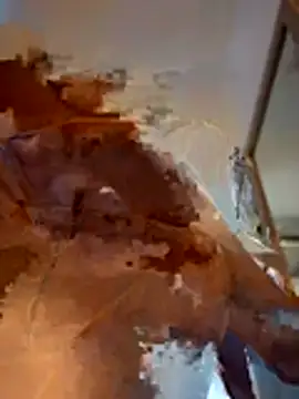 Chat XXX en directo de DallasAria