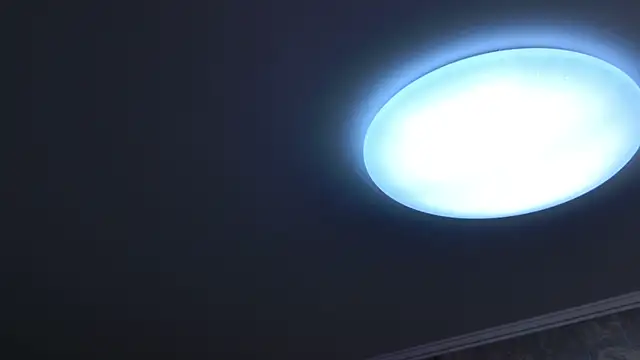 DonnaKlein Live XXX-Chat