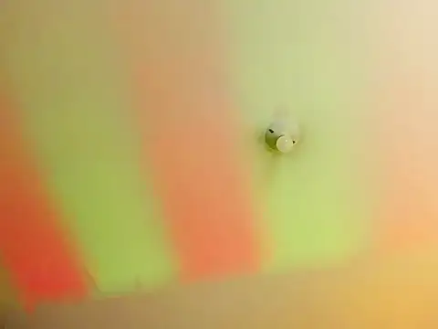 Vicky_Angeel Obrolan Langsung XXX