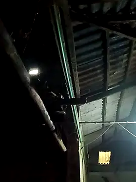 NIANIAKUTEのウェブカメラショー