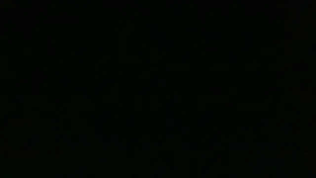 Chichoplus1 Show in webcam