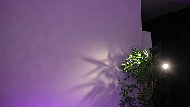 JessyKisss 网络视讯表演