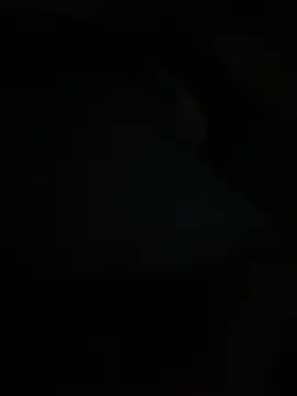 savageebny – Live XXX-chat