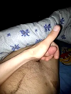 Handsomeboy3344: διαδικτυακό σόου στην κάμερα