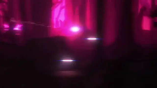 BimboCat webkamerás műsora