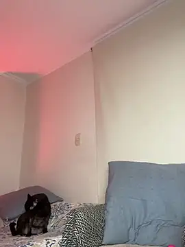 Samispank Live XXX-Chat